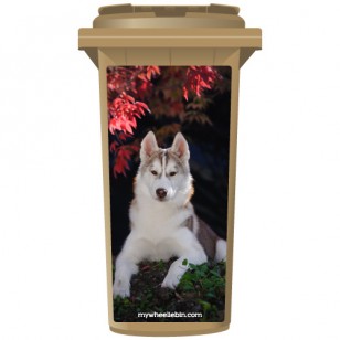 Husky Dog Lying Under A Tree Wheelie Bin Sticker Panel